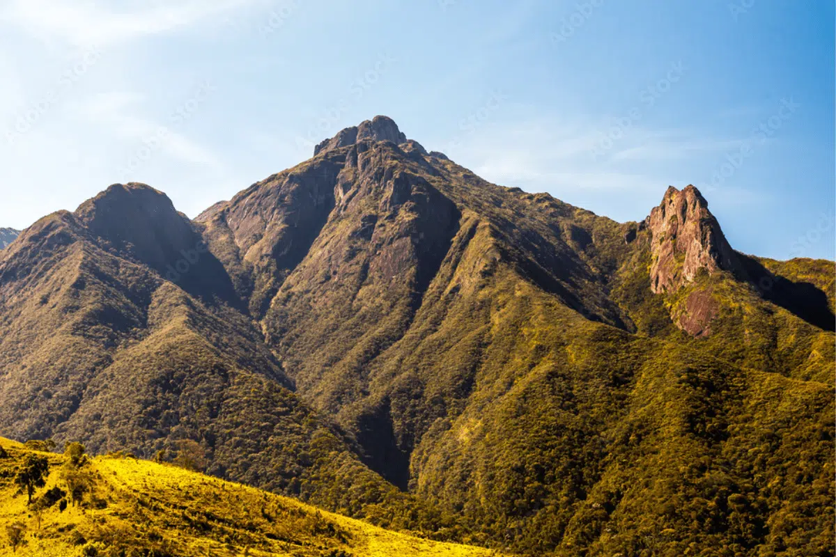 pico dos marins